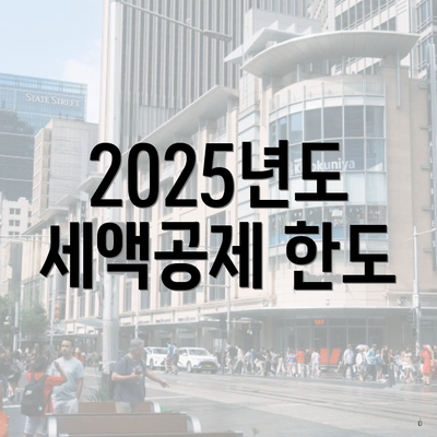 2025년도 세액공제 한도
