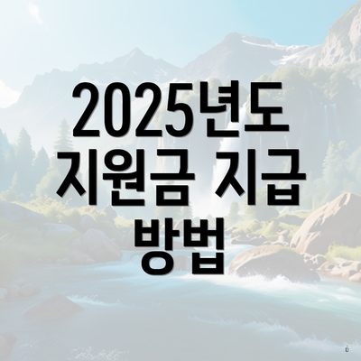 2025년도 지원금 지급 방법
