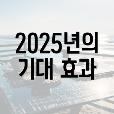 2025년의 기대 효과