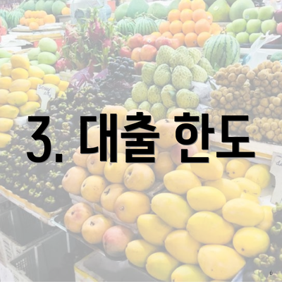3. 대출 한도