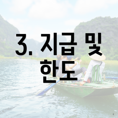 3. 지급 및 한도
