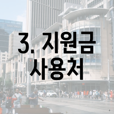 3. 지원금 사용처