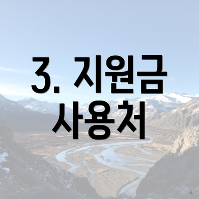 3. 지원금 사용처
