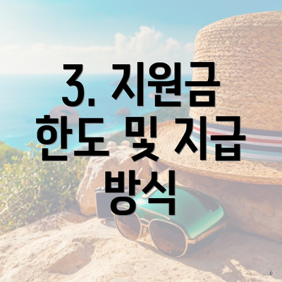 3. 지원금 한도 및 지급 방식