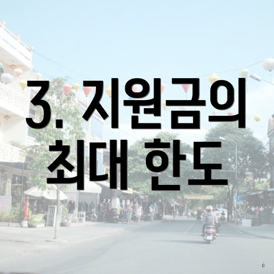 3. 지원금의 최대 한도