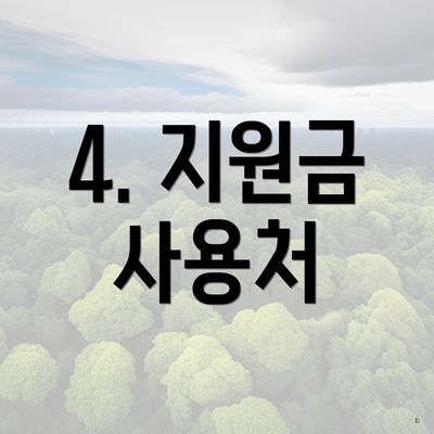 4. 지원금 사용처