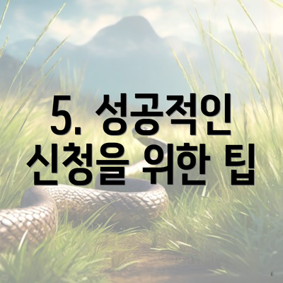 5. 성공적인 신청을 위한 팁
