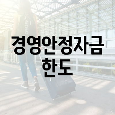 경영안정자금 한도