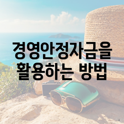 경영안정자금을 활용하는 방법