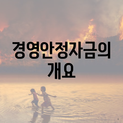 경영안정자금의 개요
