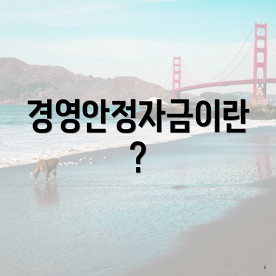 경영안정자금이란?