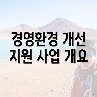 경영환경 개선 지원 사업 개요