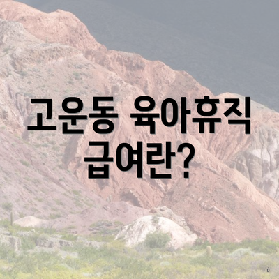 고운동 육아휴직 급여란?