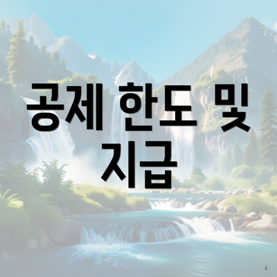 공제 한도 및 지급