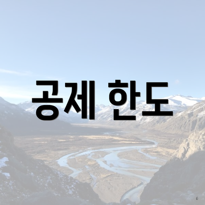 공제 한도
