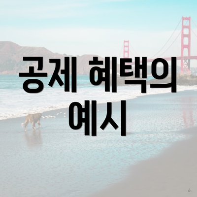 공제 혜택의 예시