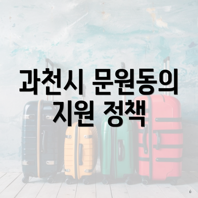 과천시 문원동의 지원 정책