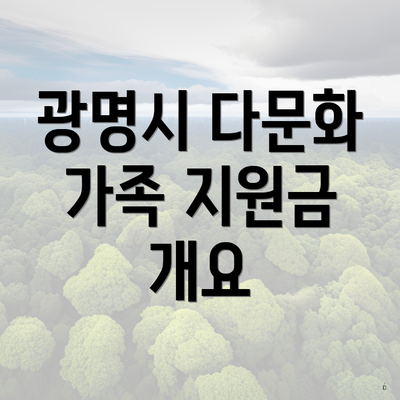 광명시 다문화 가족 지원금 개요