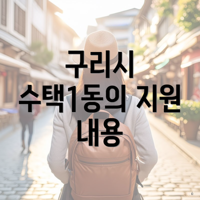 구리시 수택1동의 지원 내용