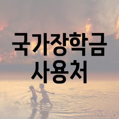 국가장학금 사용처