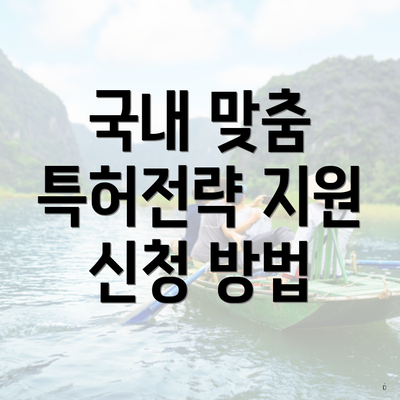 국내 맞춤 특허전략 지원 신청 방법