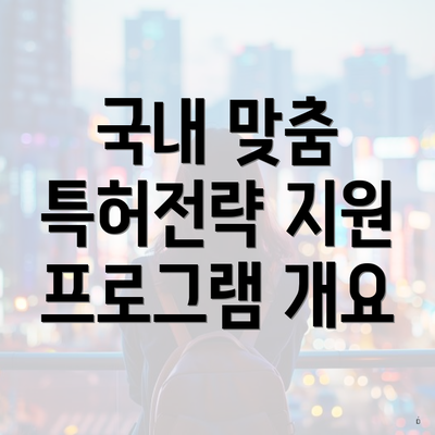 국내 맞춤 특허전략 지원 프로그램 개요