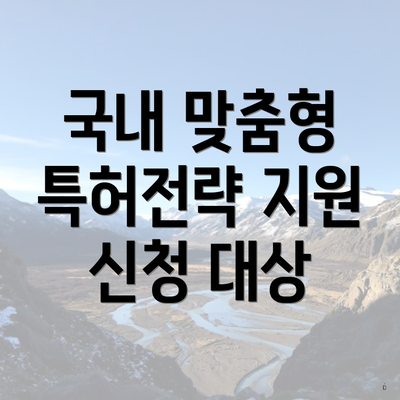 국내 맞춤형 특허전략 지원 신청 대상