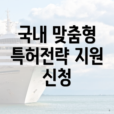 국내 맞춤형 특허전략 지원 신청