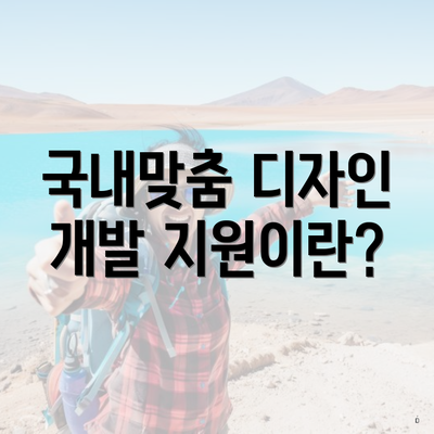 국내맞춤 디자인 개발 지원이란?