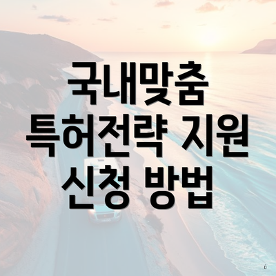 국내맞춤 특허전략 지원 신청 방법