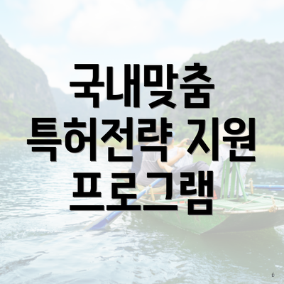 국내맞춤 특허전략 지원 프로그램