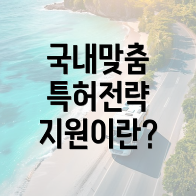 국내맞춤 특허전략 지원이란?