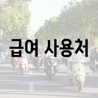 급여 사용처