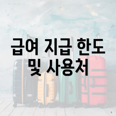 급여 지급 한도 및 사용처
