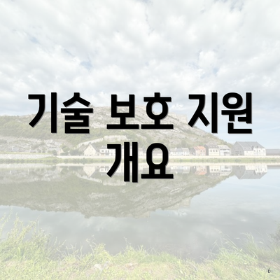 기술 보호 지원 개요