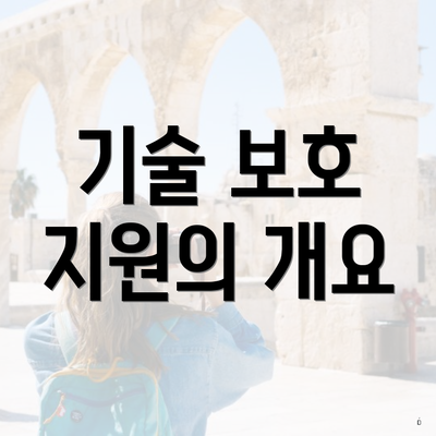 기술 보호 지원의 개요