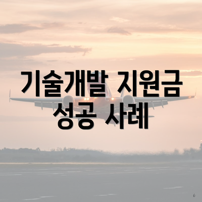 기술개발 지원금 성공 사례
