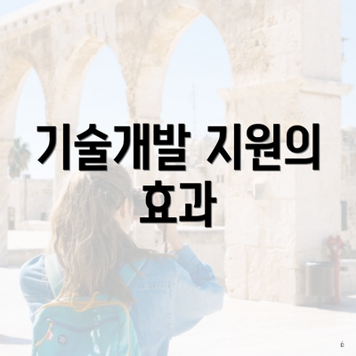 기술개발 지원의 효과