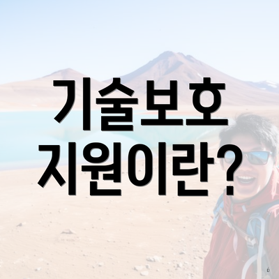 기술보호 지원이란?