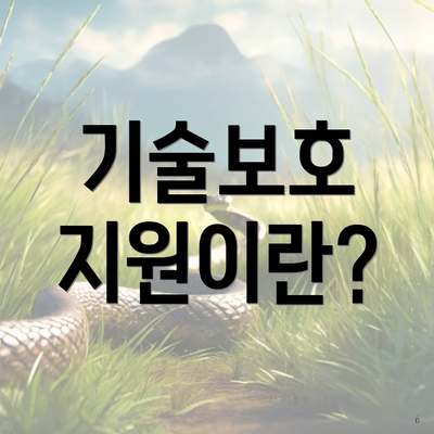 기술보호 지원이란?