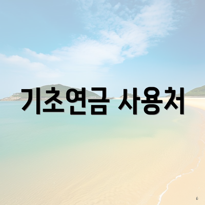 기초연금 사용처