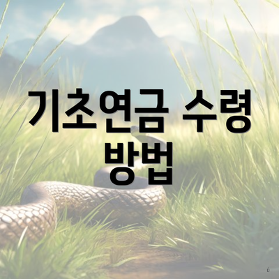 기초연금 수령 방법