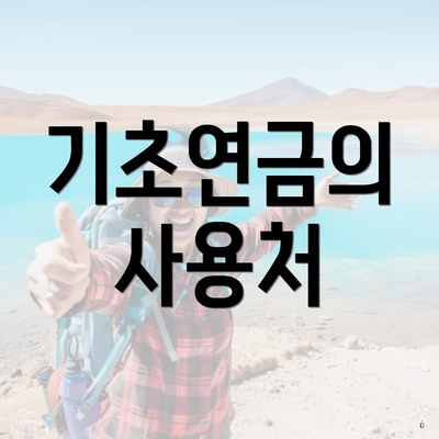 기초연금의 사용처