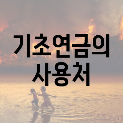 기초연금의 사용처