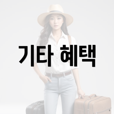 기타 혜택