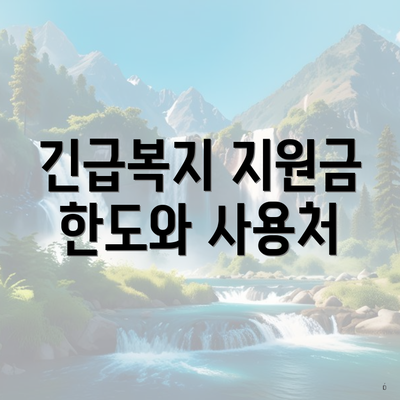 긴급복지 지원금 한도와 사용처