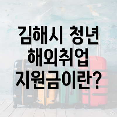 김해시 청년 해외취업 지원금이란?