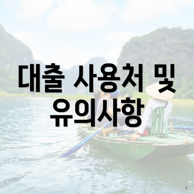 대출 사용처 및 유의사항