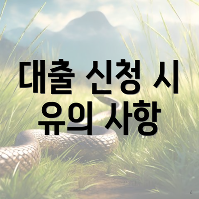대출 신청 시 유의 사항