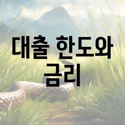대출 한도와 금리
